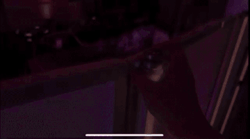 Promo gif van Ape Labs Sticks