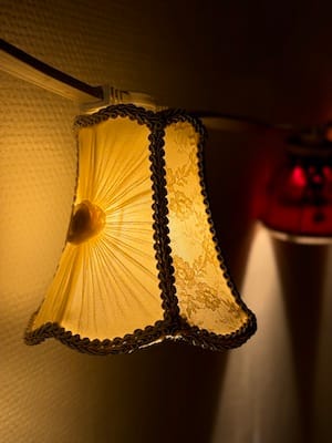 Vintage Lampenkapjes met priklicht